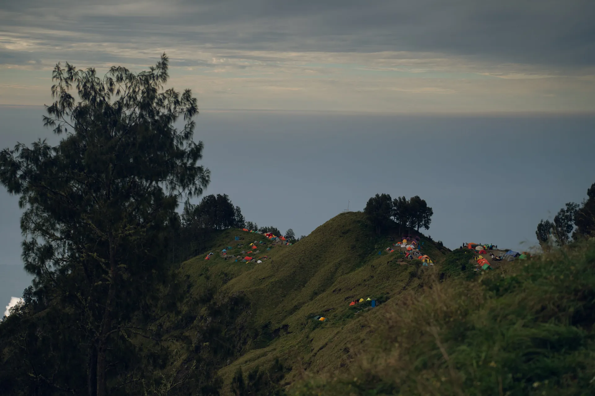 Colorful trekking tents on a grassy ridge of Mount Rinjani above the clouds